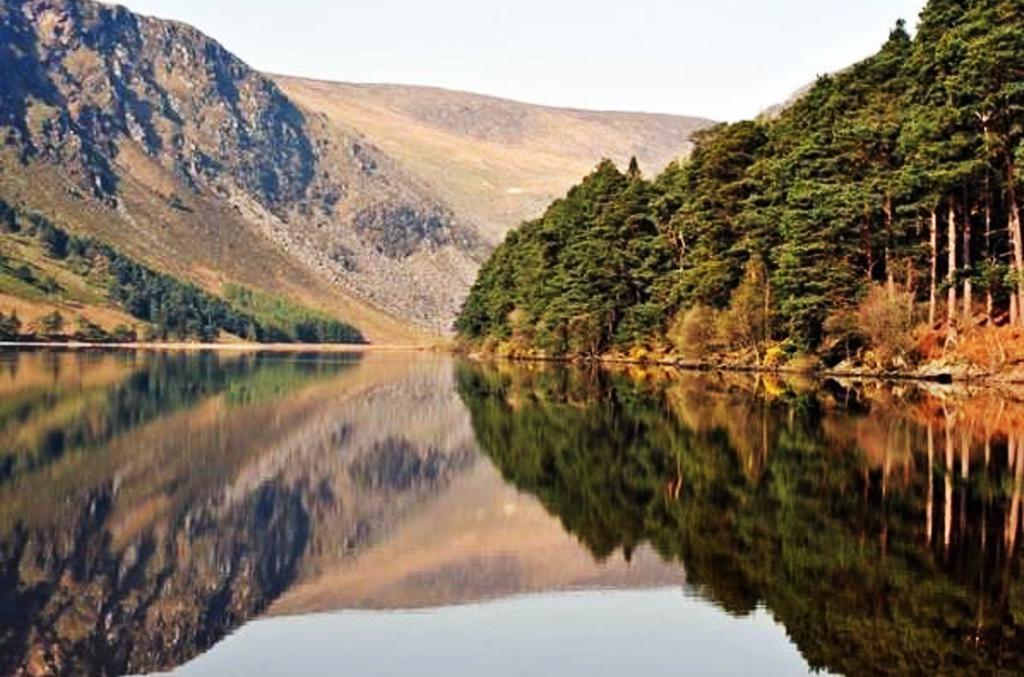 Lakeview Lodge B&B Blessington Quarto foto